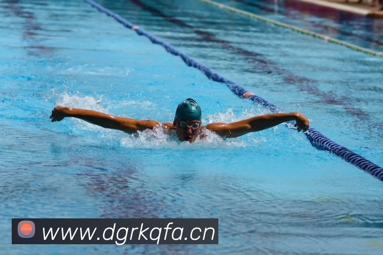 beat365在线体育平台平台生态图