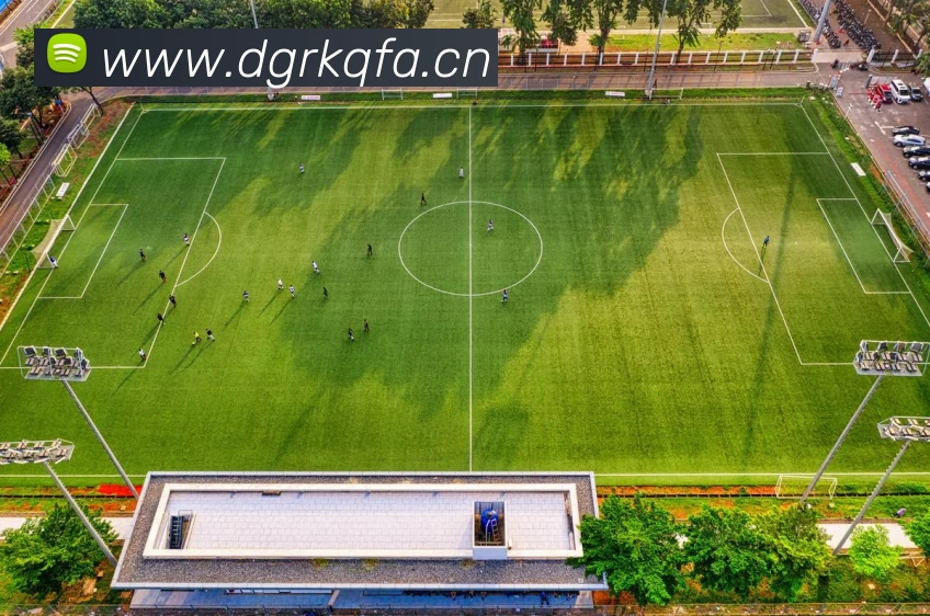 数据防护可视化